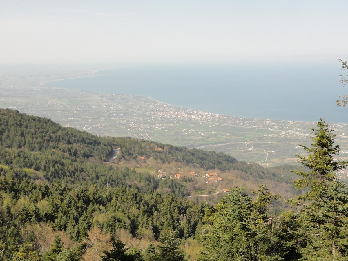 Sintrivanis Mountain Ano Skotina Esterno foto